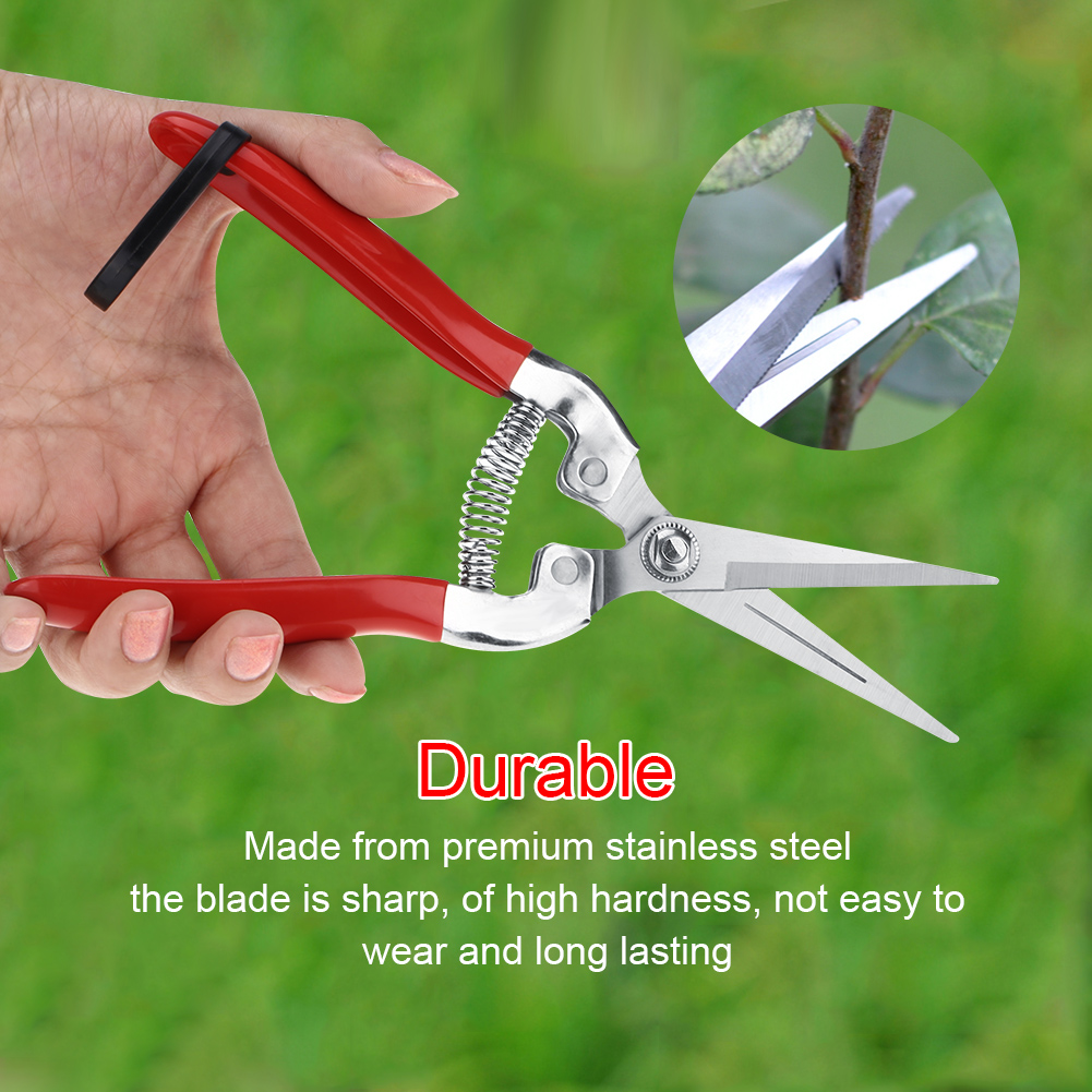 Sturdy Fruit Tree Bonsai Garde - Home Bar Supplies review and price